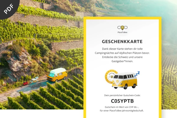 Gutschein für eine PlaceToBee-Jahreslizenz