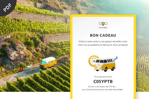 image du bon cadeau