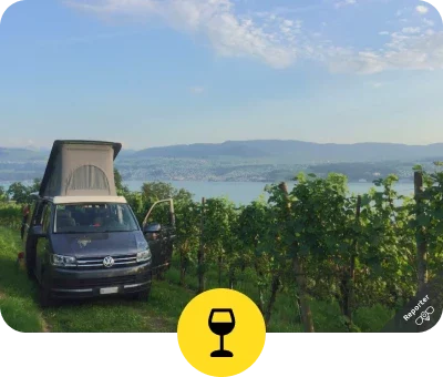slider_20